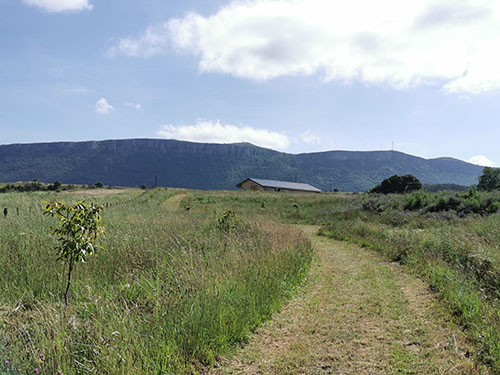 Visita Aukera Natura, un proyecto de agricultura regenerativa